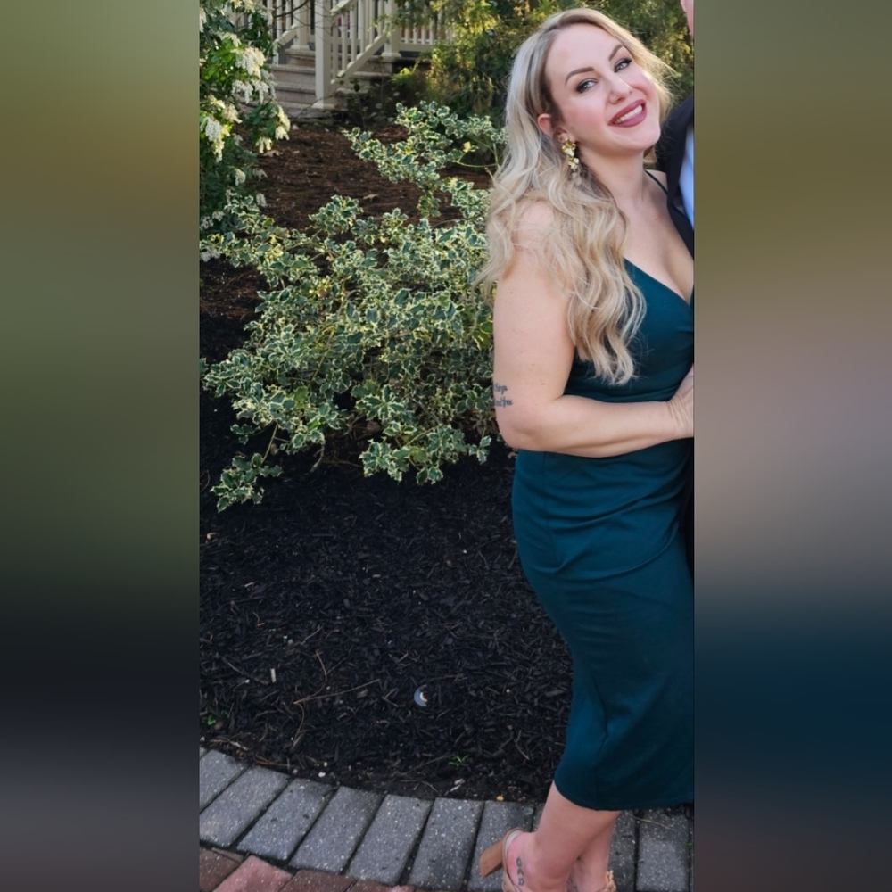 Lulus dress - Picture 6 of 6